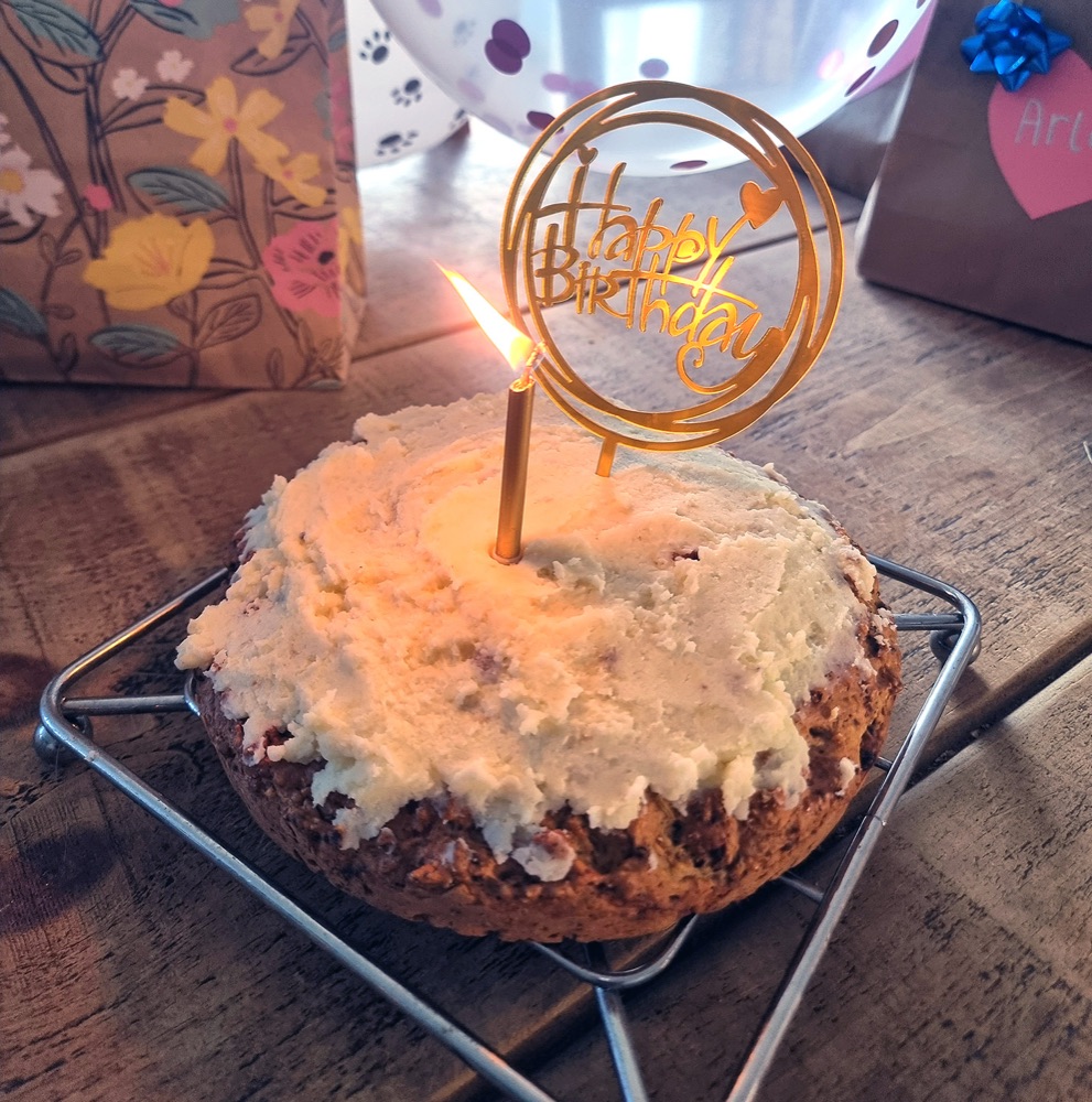 A homemade dog birthday cake with a candle