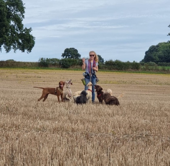 A happy dog enjoying their time at More Paws, photo 13