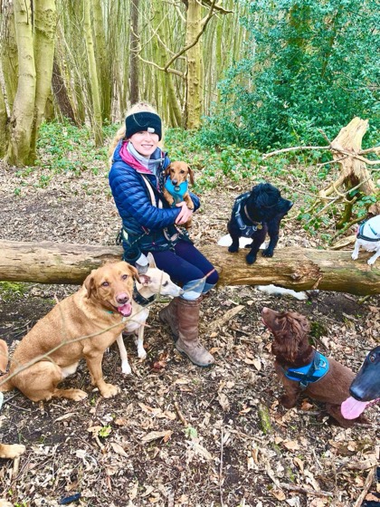 A happy dog enjoying their time at More Paws, photo 15