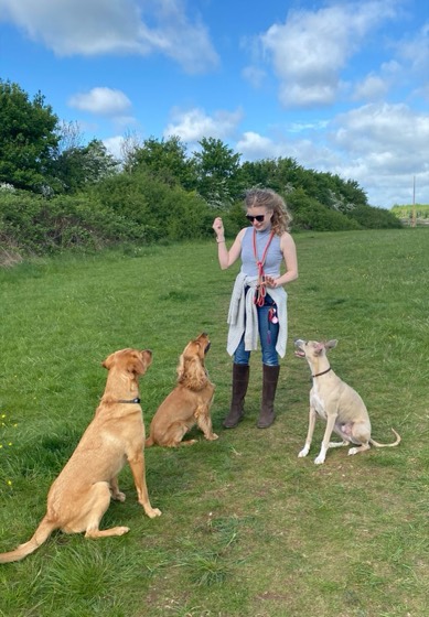 A happy dog enjoying their time at More Paws, photo 33