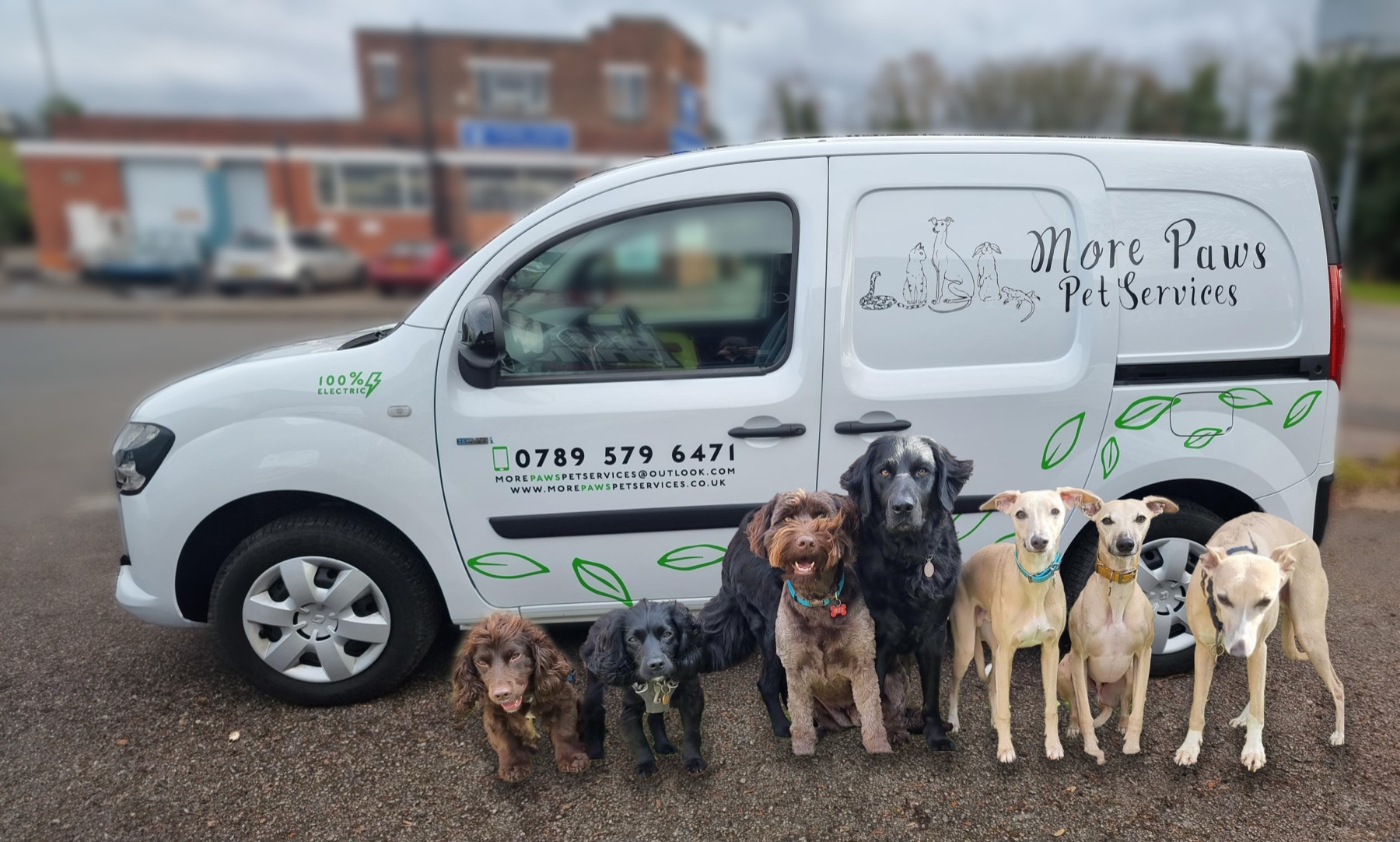 The More Paws electric van with a line of happy dogs in front