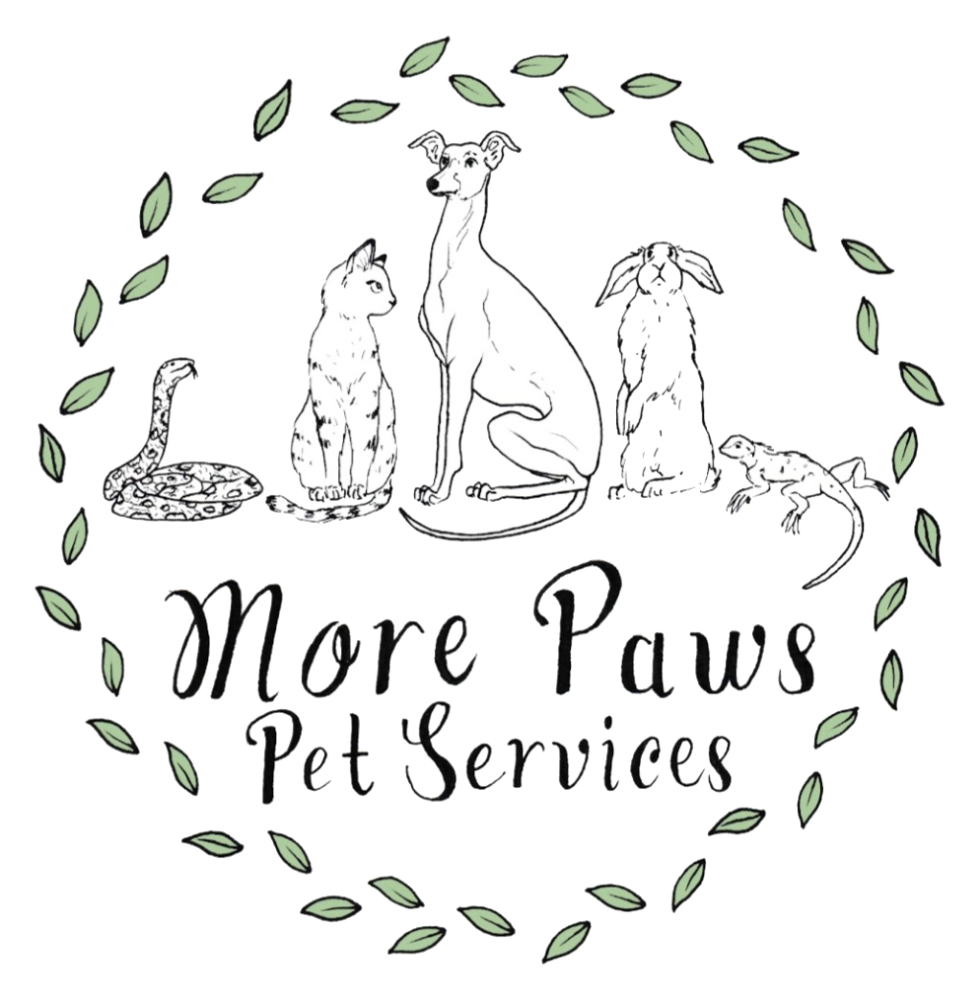 More Paws Pet Services More Paws