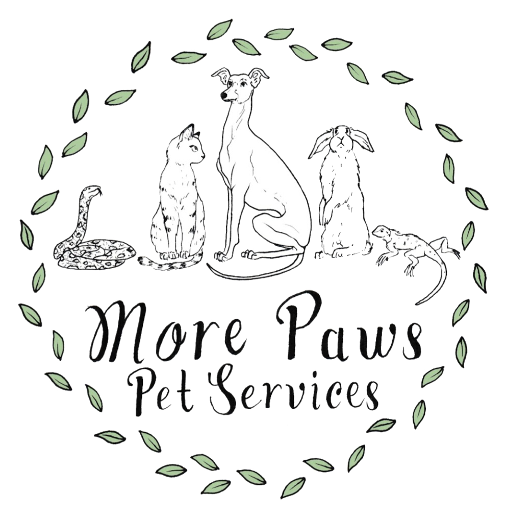 More Paws Pet Services Logo